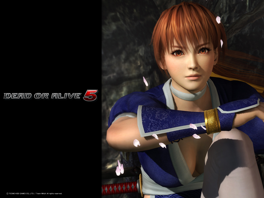 Anime Dead Or Alive Doa5 New Kasumi Ayane Hitomi Wallpaper