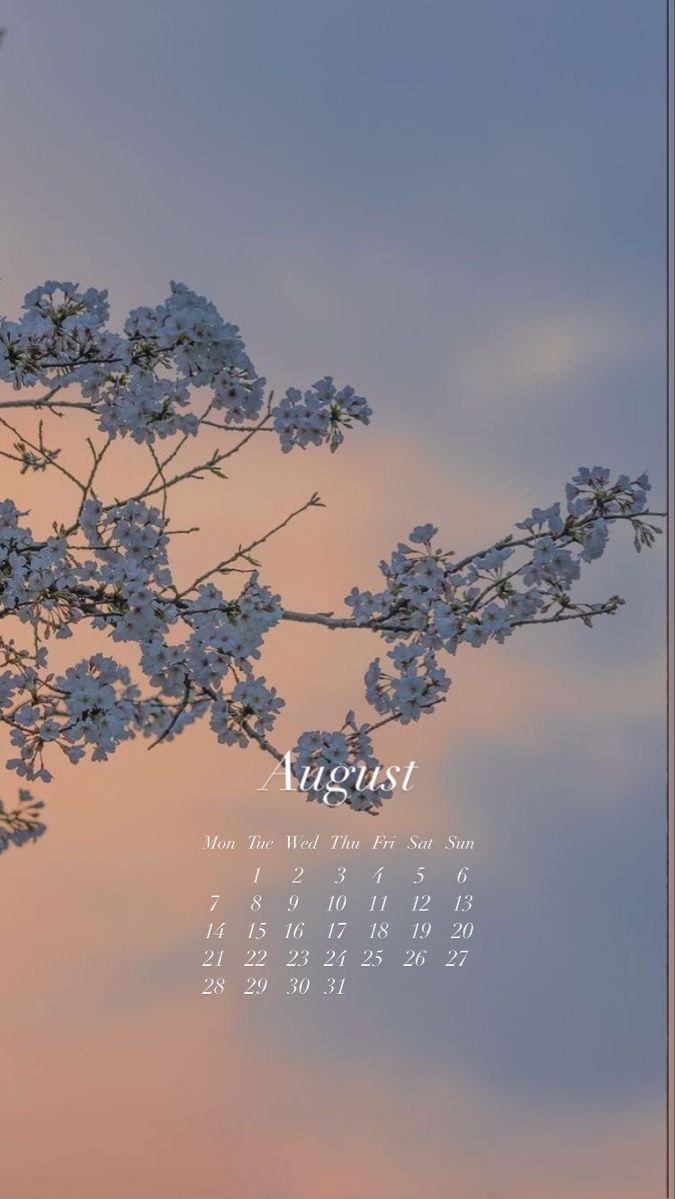 Wallpaper August Calendar Tree Flowers Aesthetic Clouds
