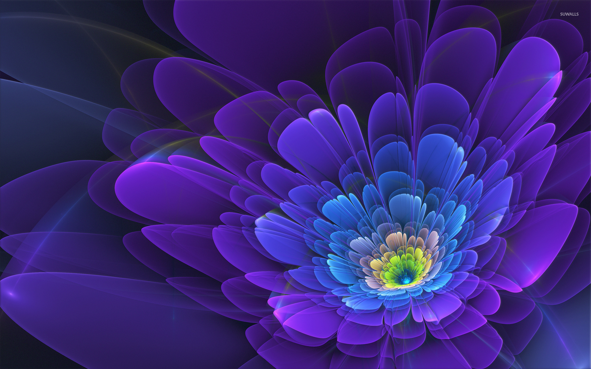 Beautiful flower wallpaper   Abstract wallpapers   44953