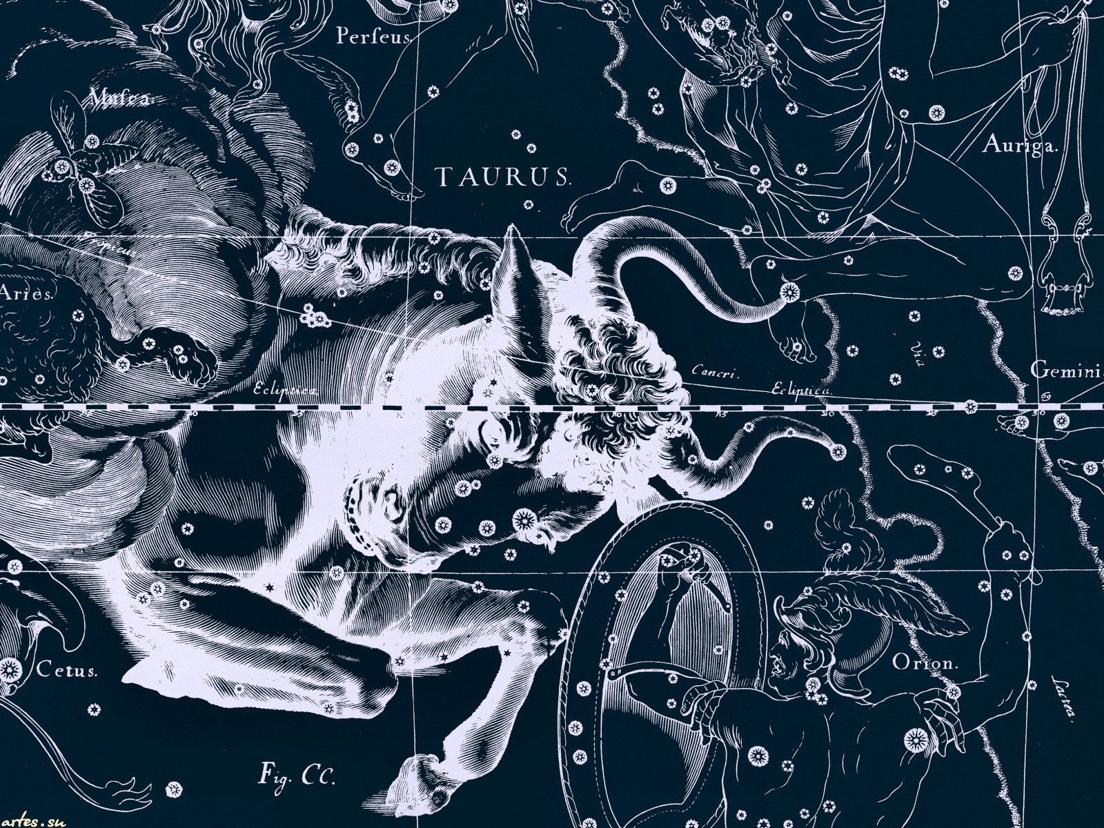 Star chart Taurus wallpapers and images   wallpapers pictures