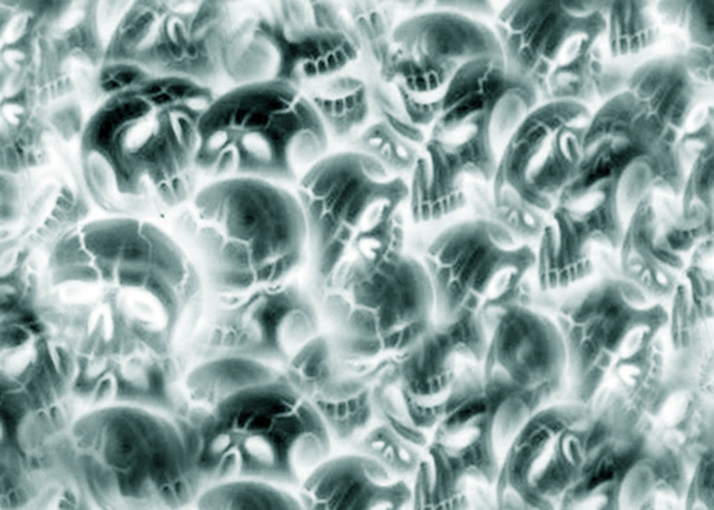 Skeleton Background Skull By
