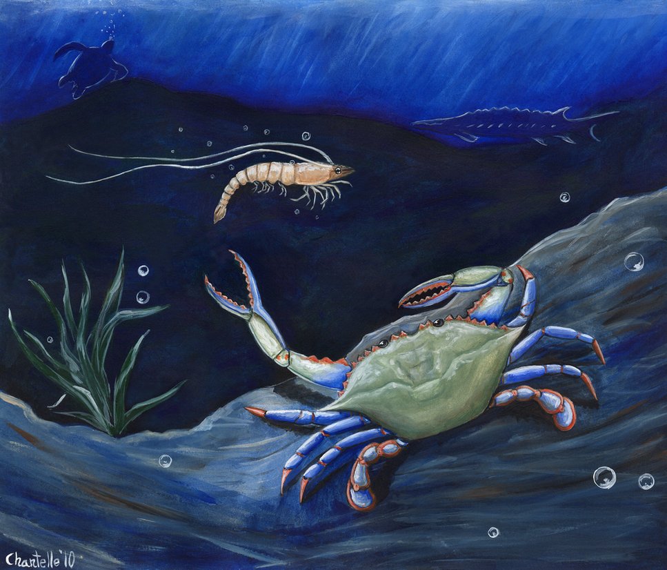 Shrimp And Blue Crab Oilspill By Rjdaae
