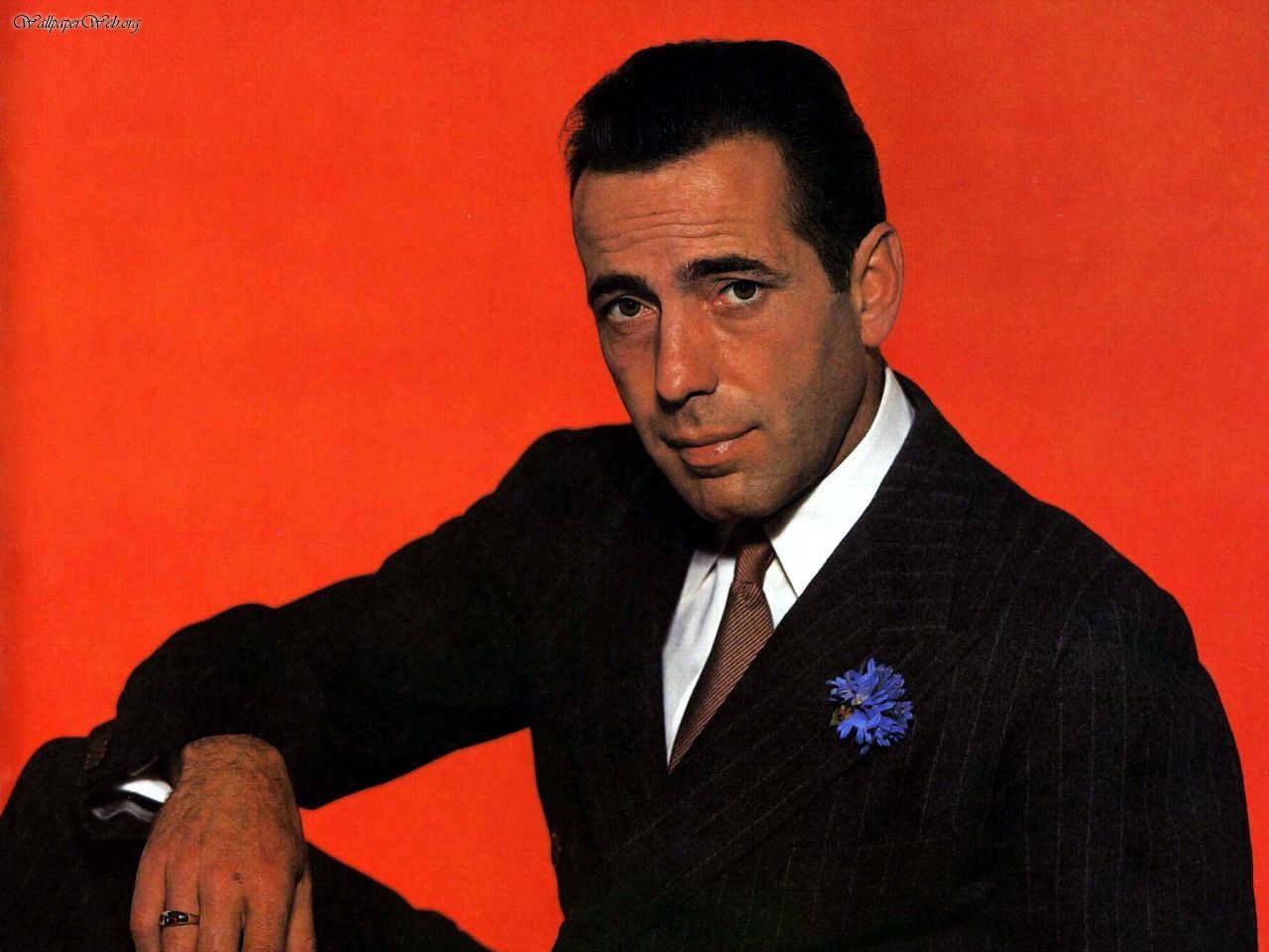 Male Celebrities Humphrey Bogart Desktop Wallpaper Nr
