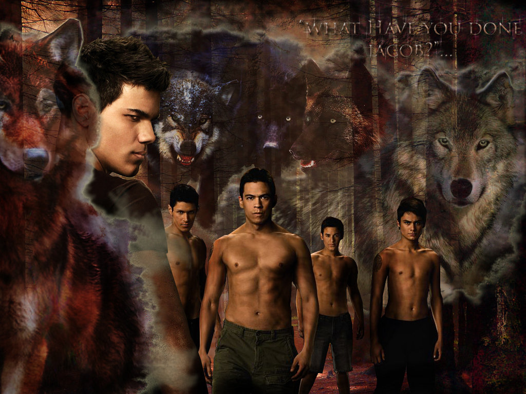 Twilight Jacob Wolf Wallpaper