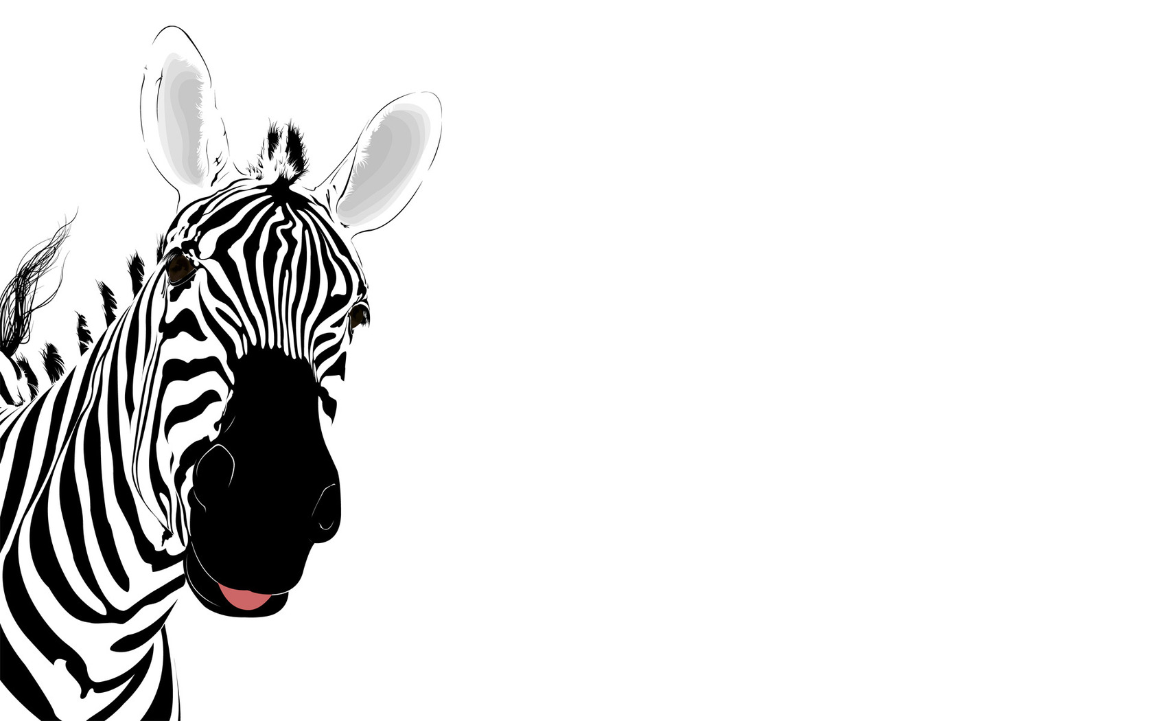 Vector Zebra Wallpaper Widescreen With Resolution