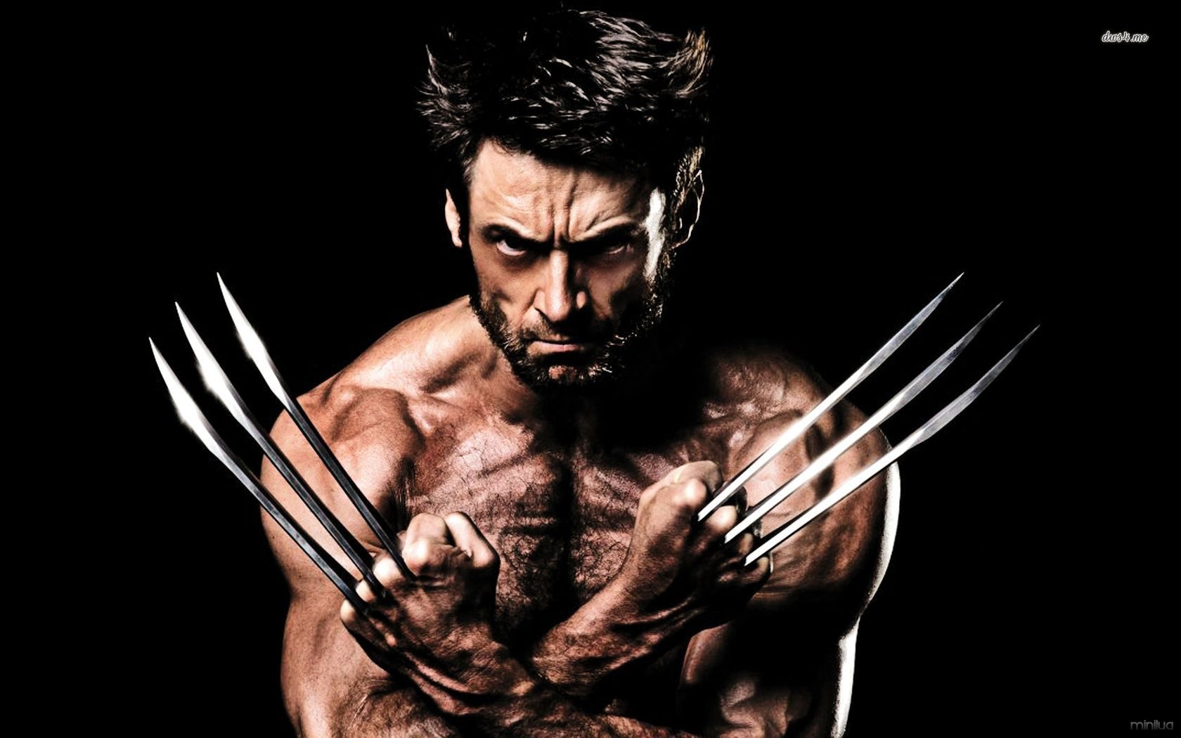 The Wolverine Movie Wallpaper Jpg