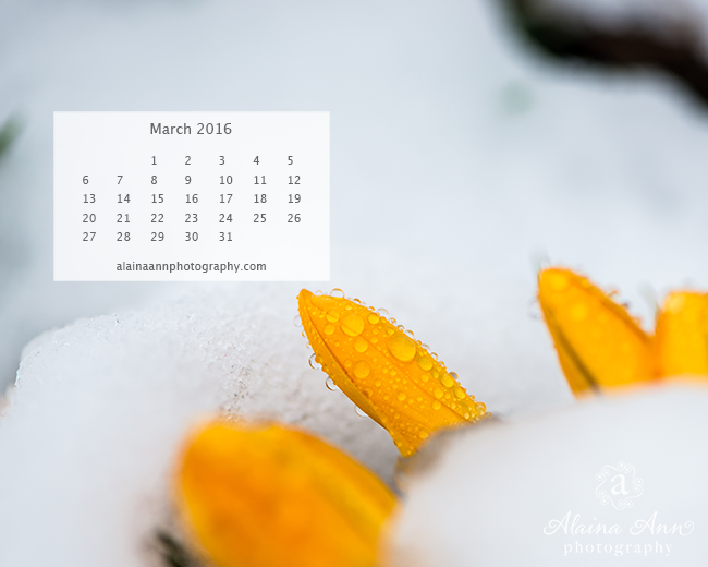 March 2016 Wallpaper Calendar Alaina Ann Photography 650x520