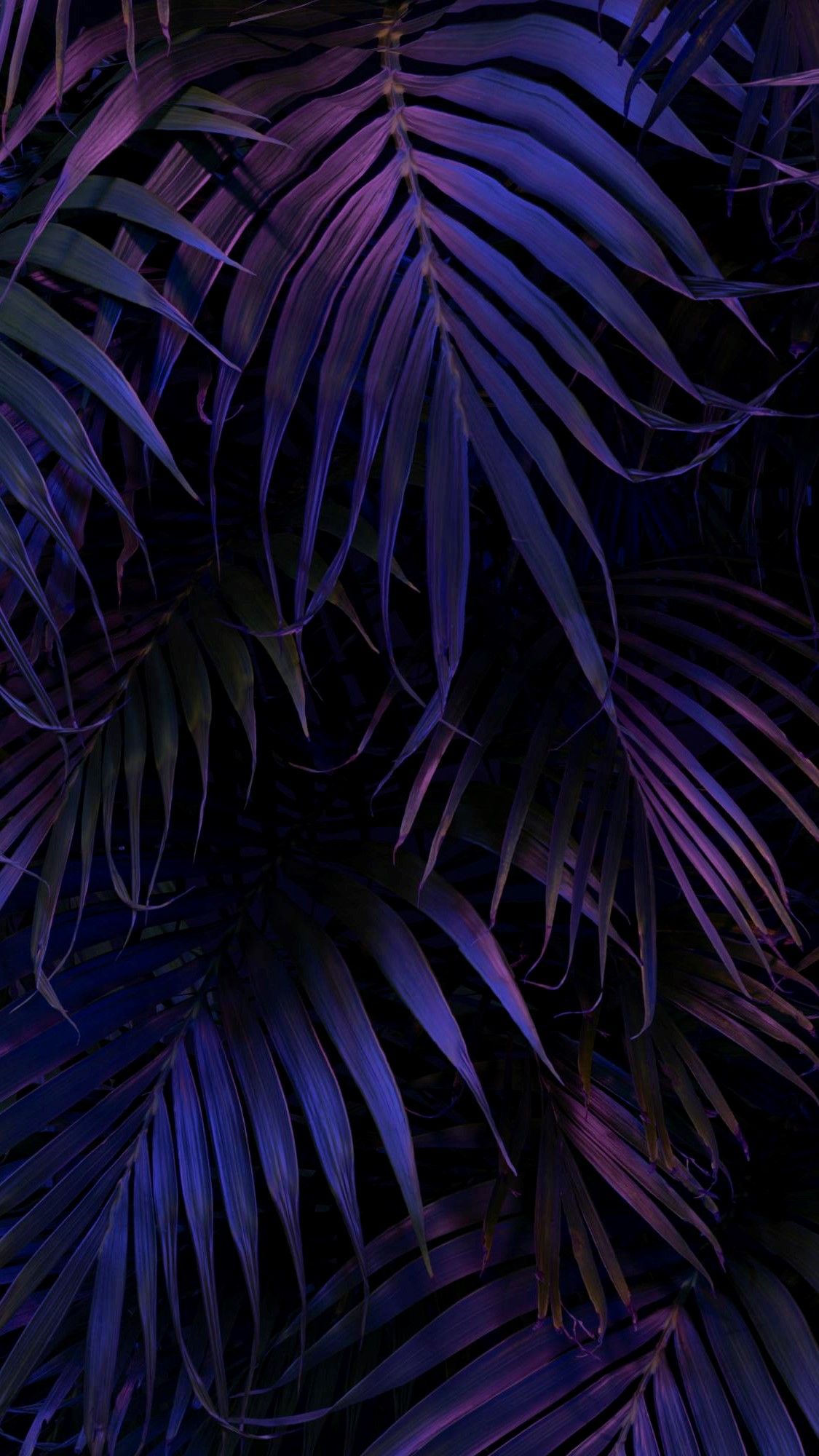 Aesthetic Palm Leaves Wallpaper By Liamph8