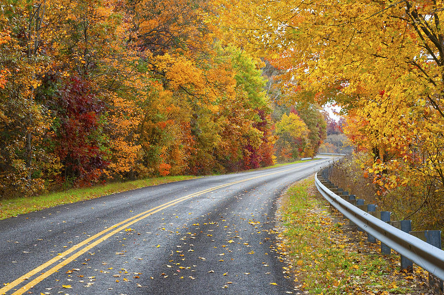 Look It Hog Back Road In Autumn By Brian Mollenkopf