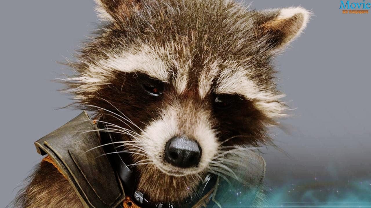 Guardians Of The Galaxy Movie HD Wallpaper