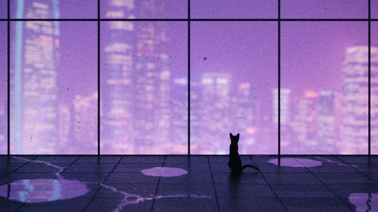 Wallpaper Cat Window City Over Art HD Picture Image