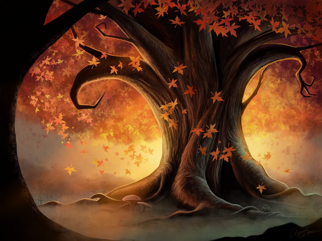 Wicca Tree Wallpaper Picswallpaper