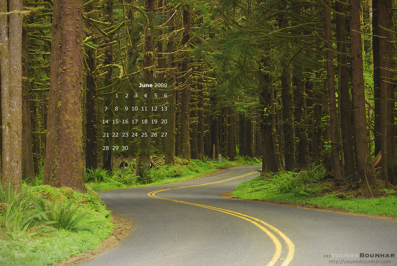 Monthly Calendar And Wallpaper June Out Of Focus A By