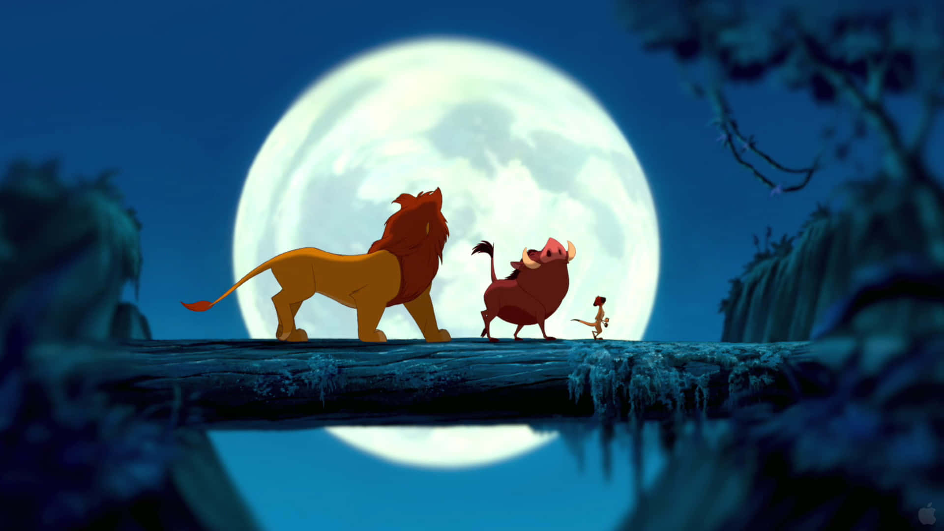 Lion King Picture Wallpaper