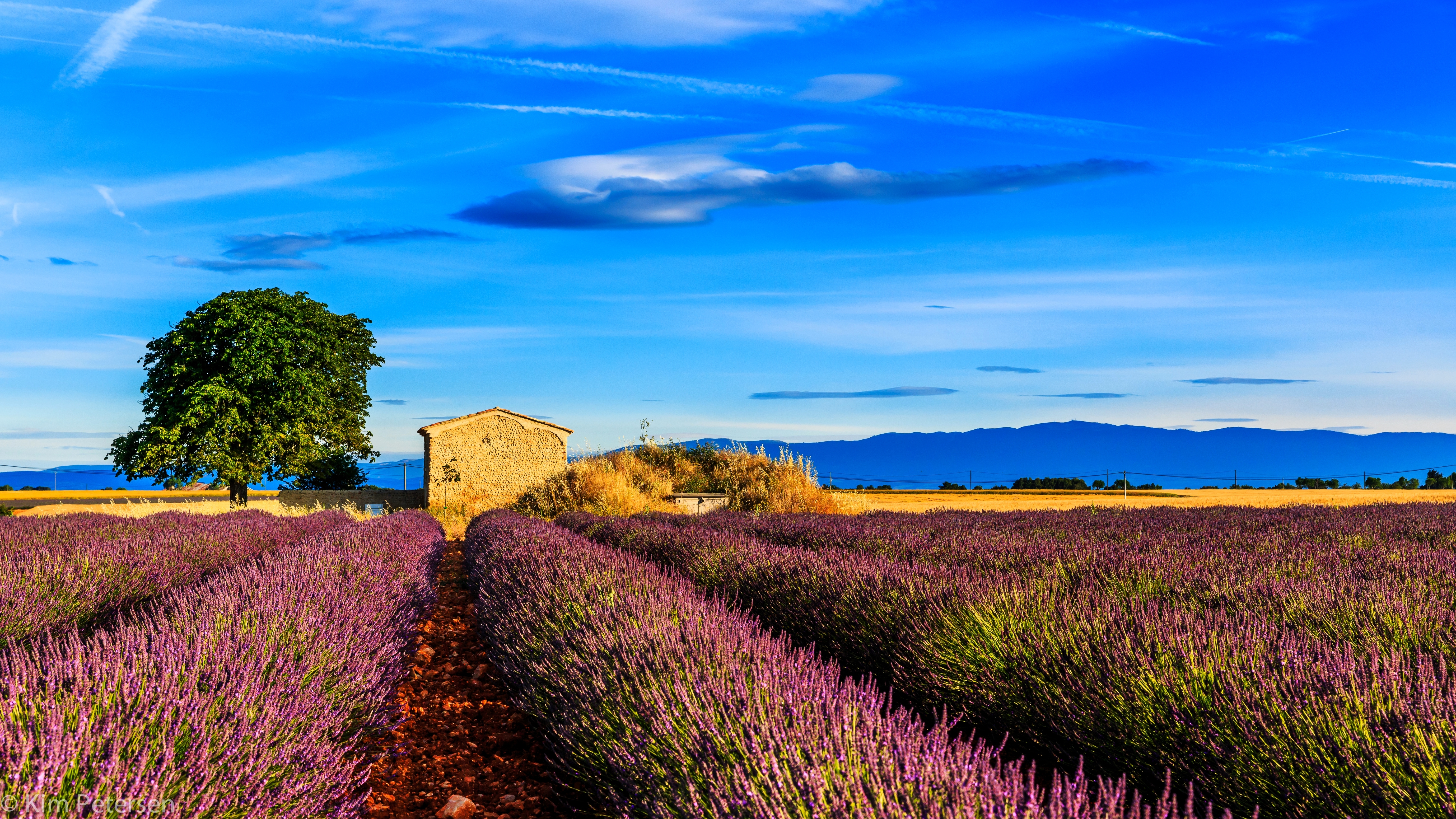 Wallpaper France Provence Field Grass Sky