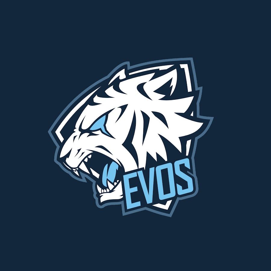 Evos Esports Parent Co Secures 12m In Funding Round Ayo News