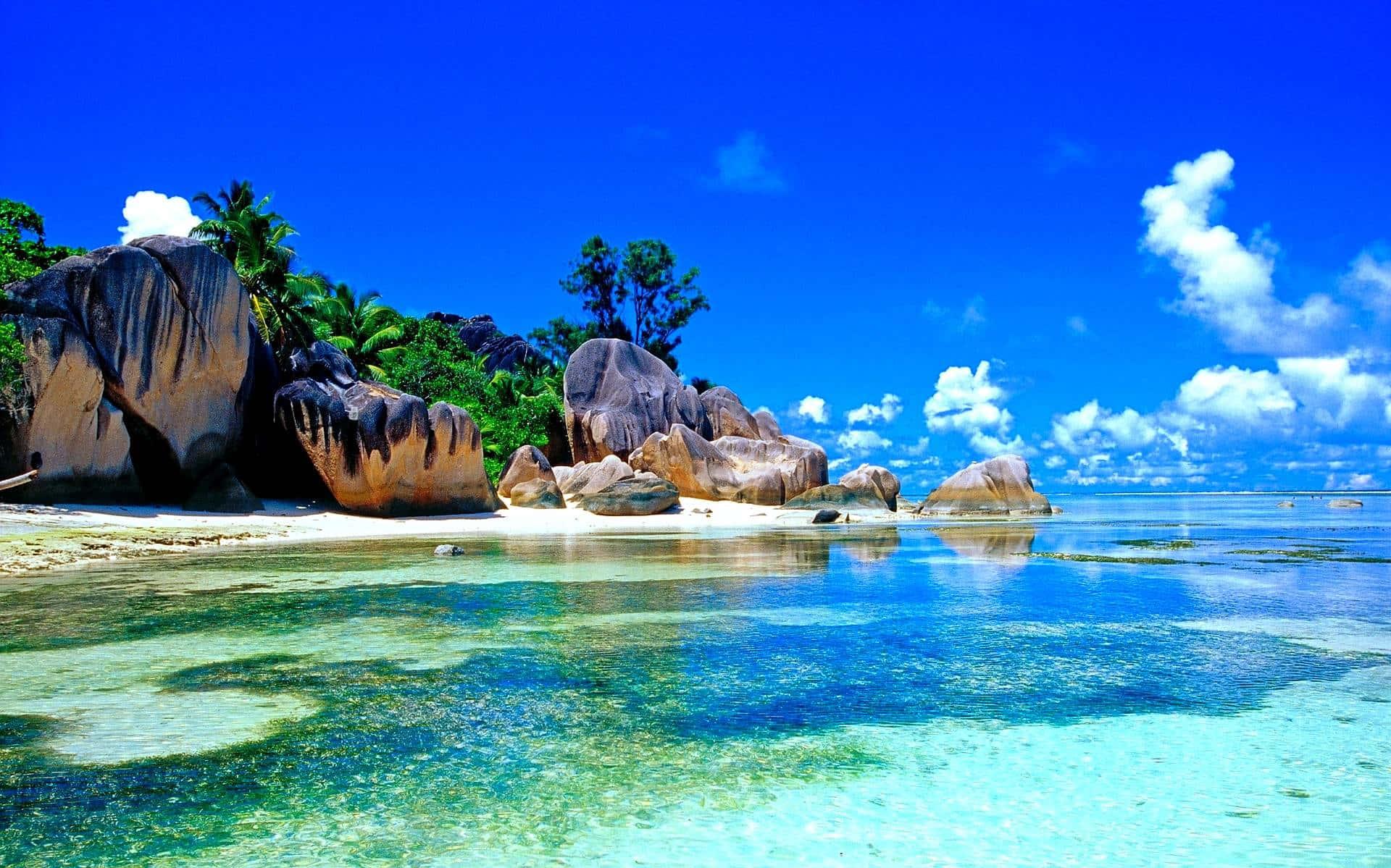 Download Majestic Beach Scene in Seychelles Wallpaper