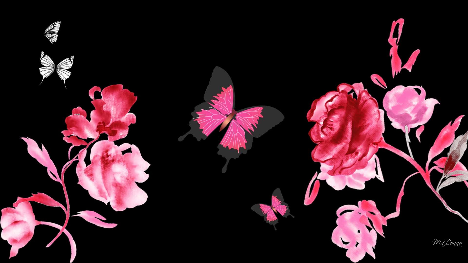 flowers wallpapers butterflies floral roses wispy summer abstractjpg