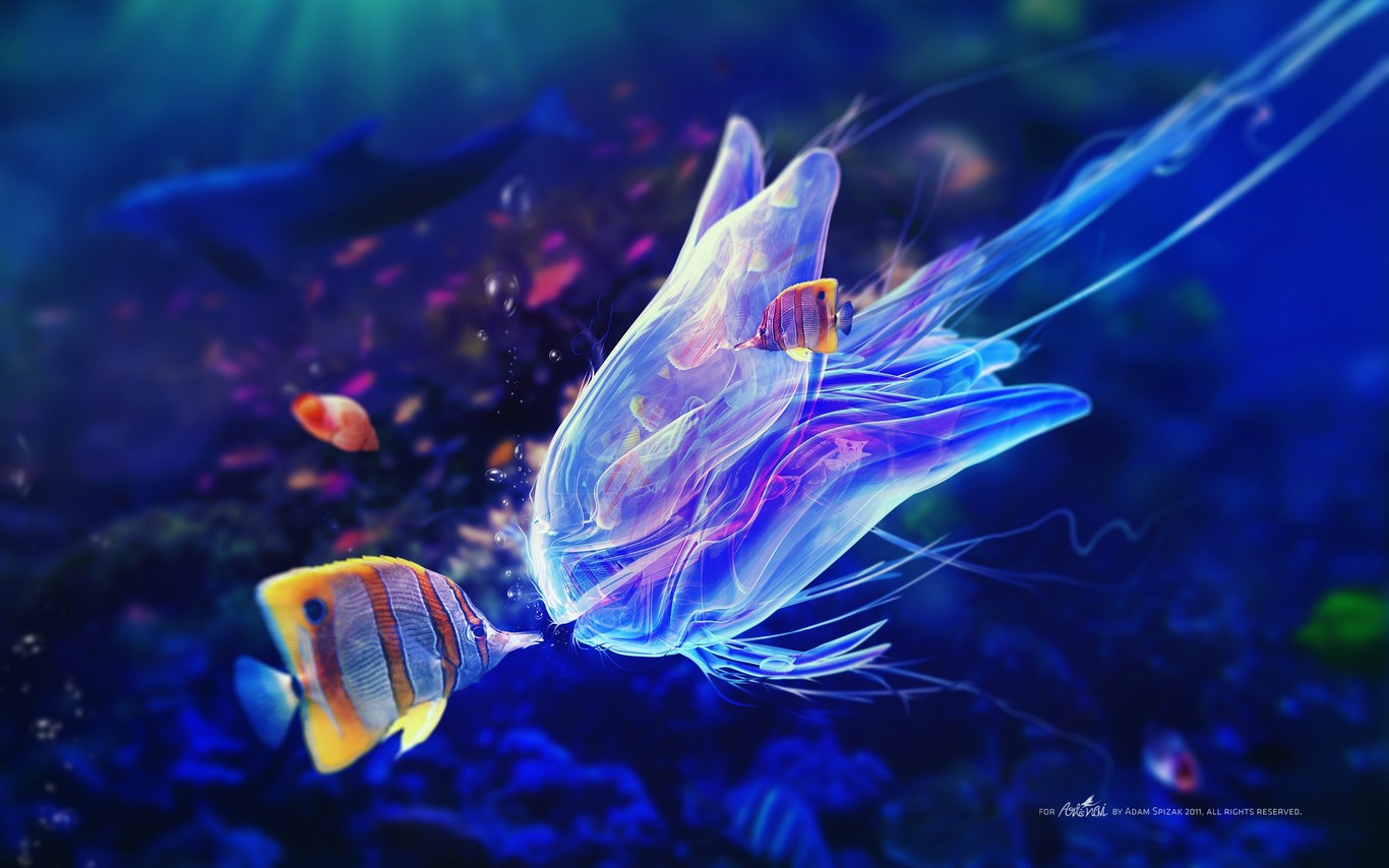 HD Jelly Fish Kiss Wallpaper Screensavers Ventube