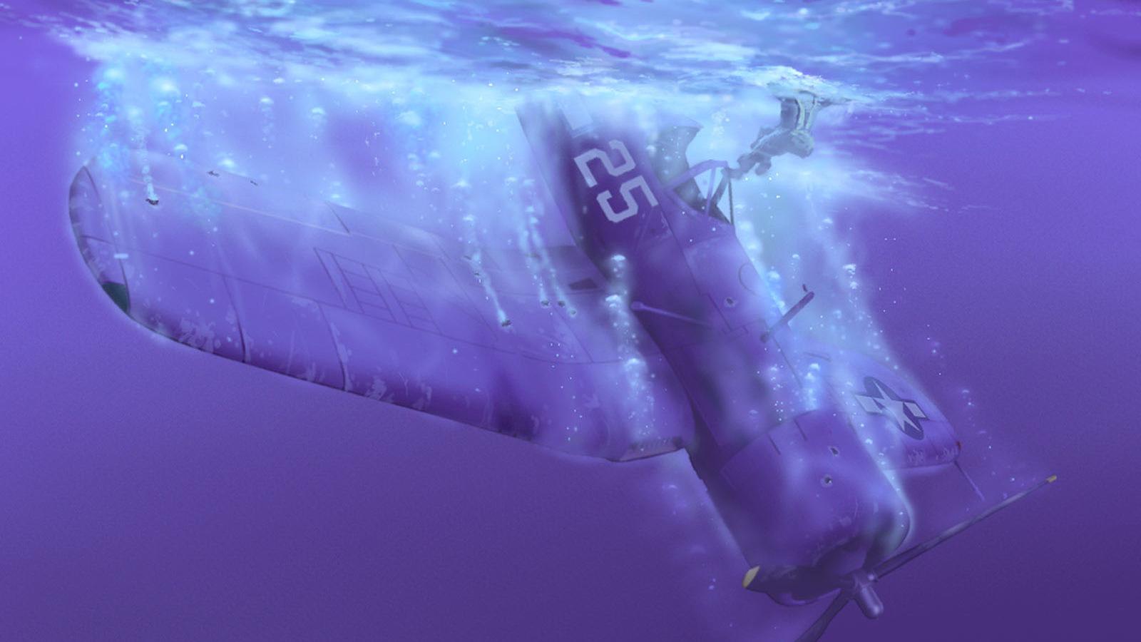 Download Wallpaper Plane crash into water 1600 x 900 widescreen