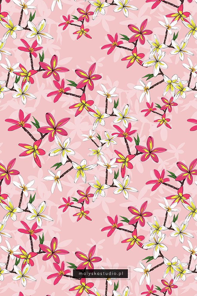 Flowers Of Plumeria Pink Background Flower