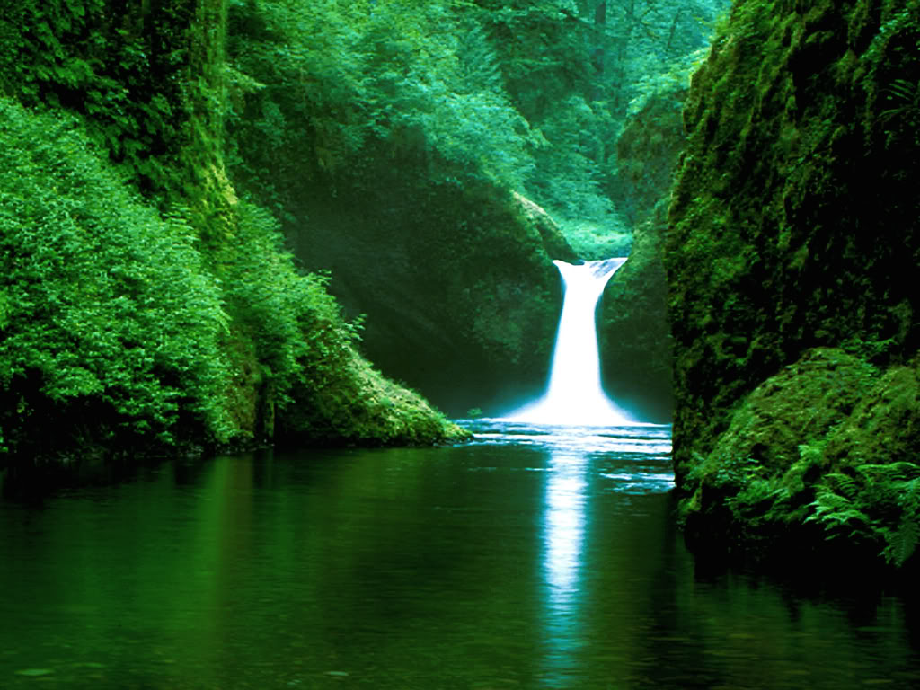 Green Waterfall HD Wallpaper In Nature Imageci