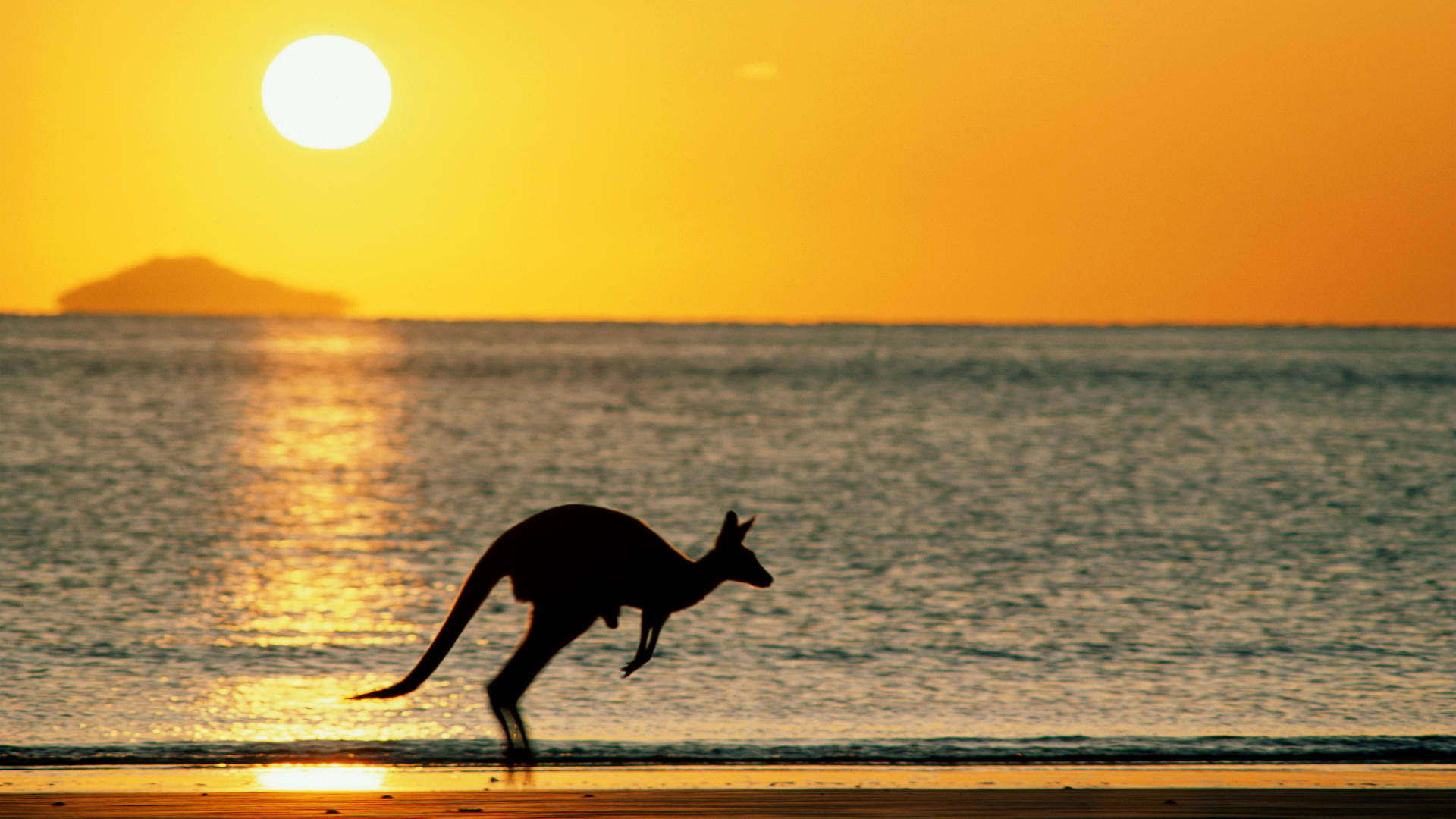 Background Desktop Background Australia Taking Sunset