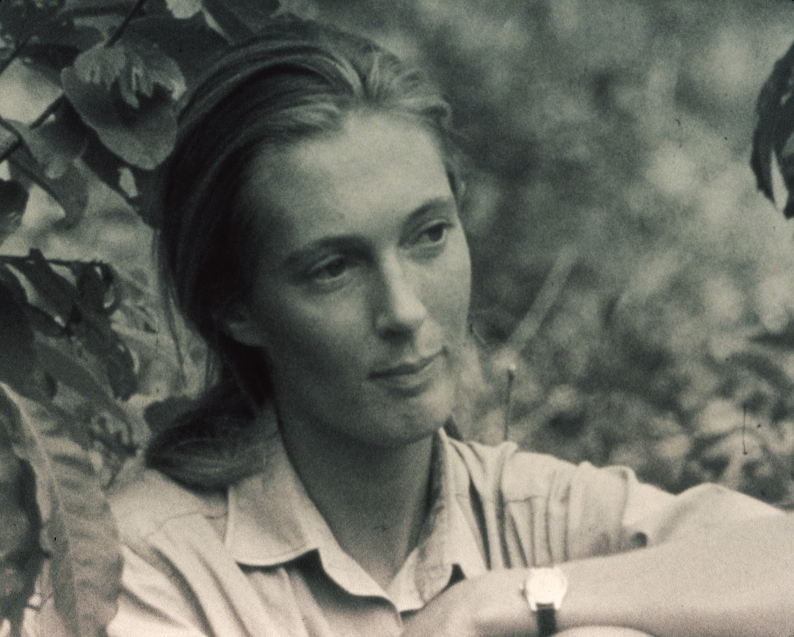Jane Goodall Est100 Some Photos