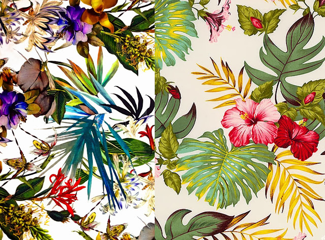 Tropical Pattern Trend Patterns