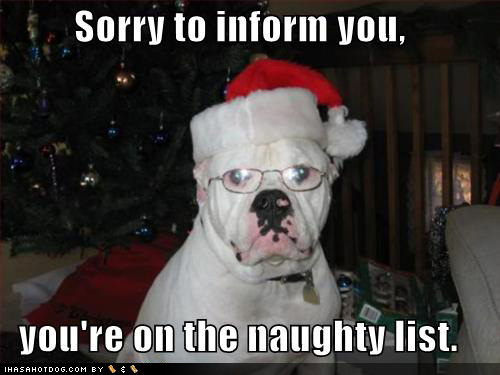 Funny Christmas Puppy Image Pictures Becuo