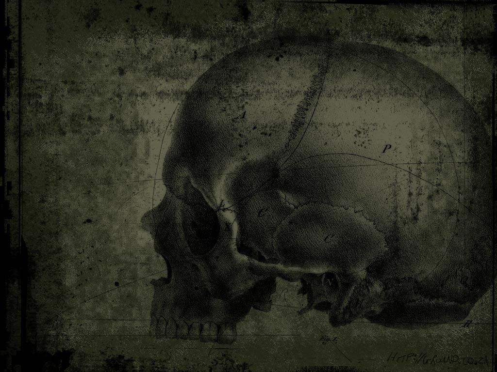 Gothic Dark Art Green Skull Picture Nr