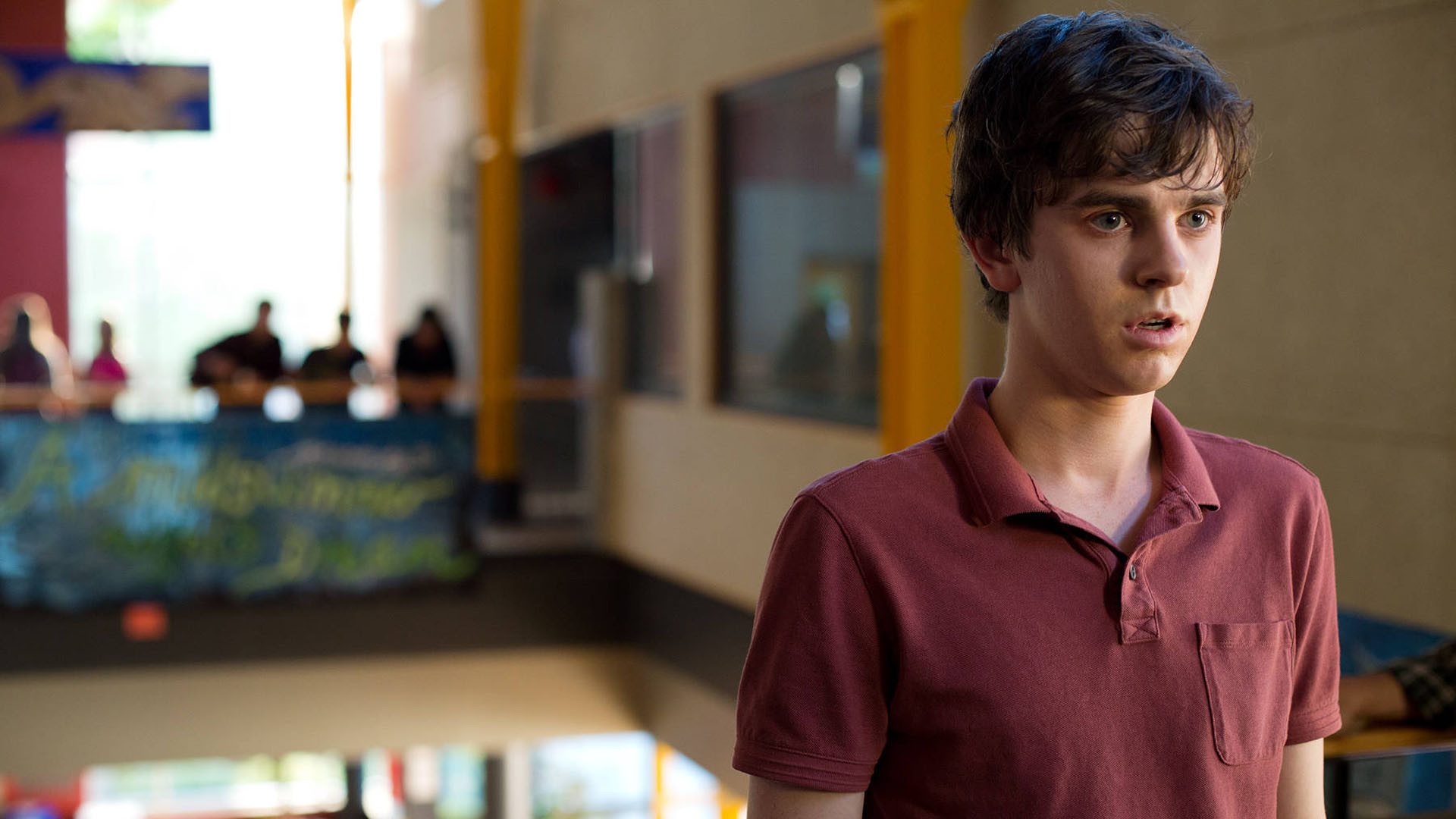 Freddie Highmore HD Wallpaper