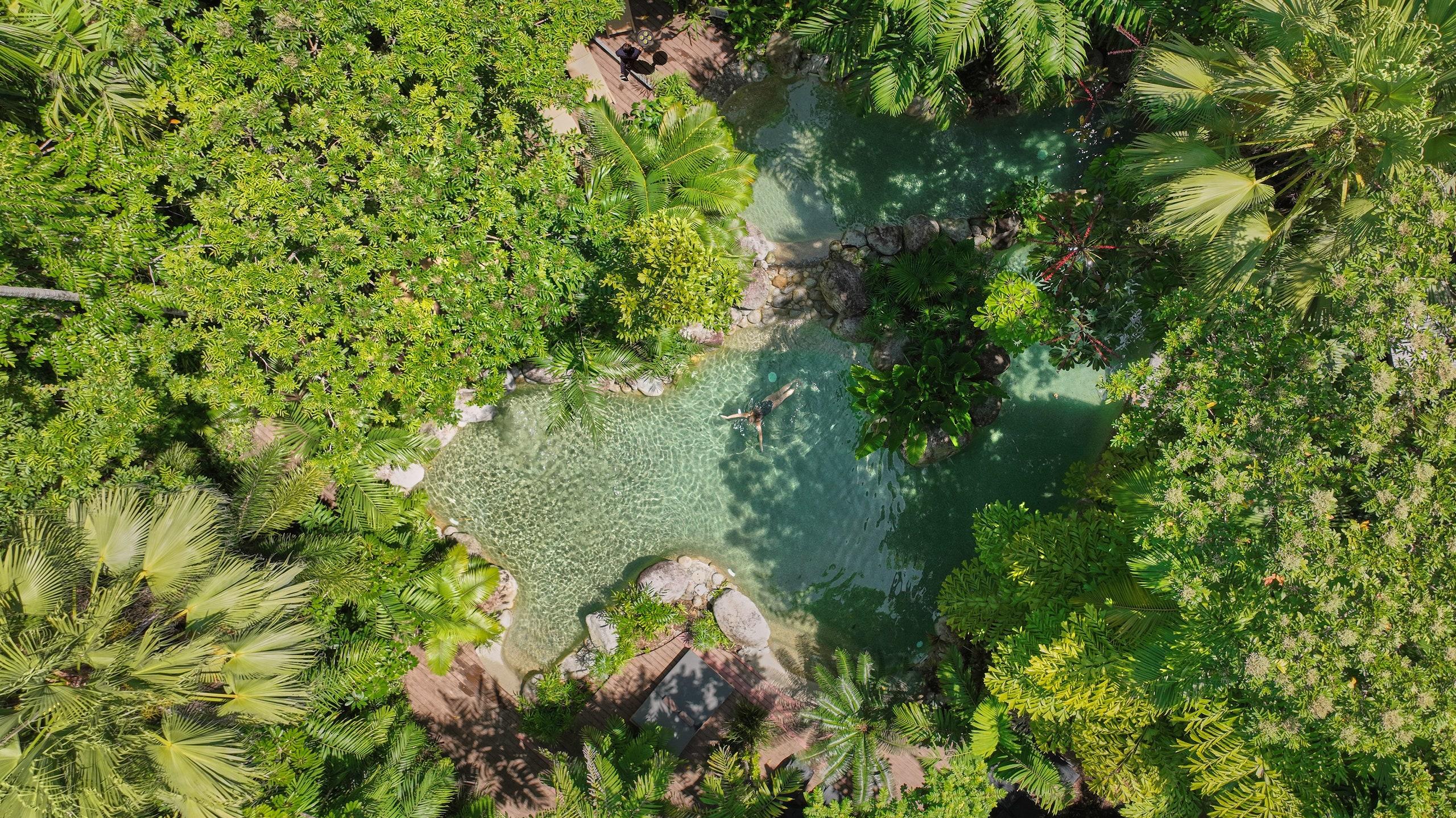 Enchanting Bamboo Forest River HD Wallpaper by Laxmonaut