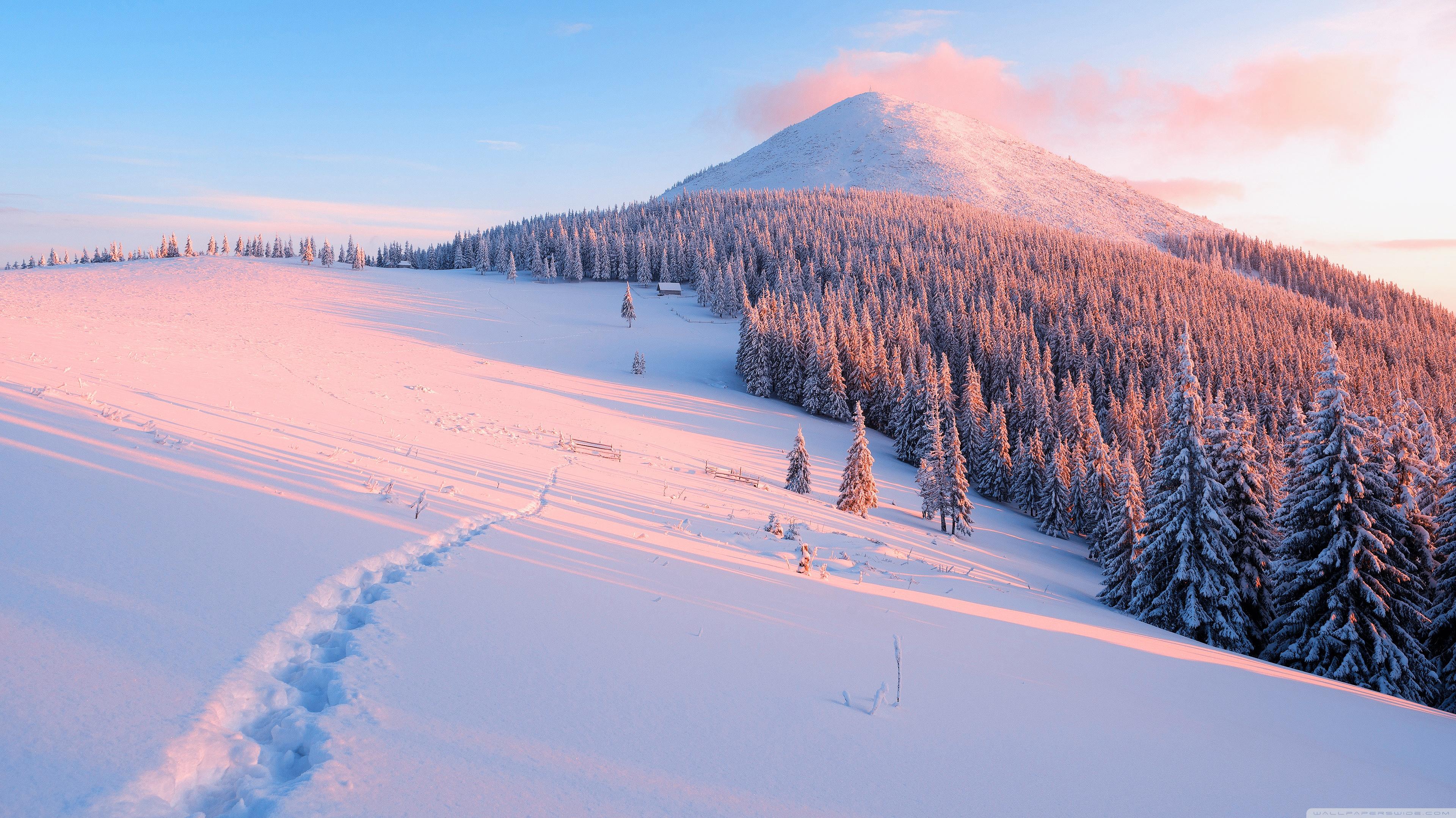 Winter Nature Ultra HD Desktop Background Wallpaper for