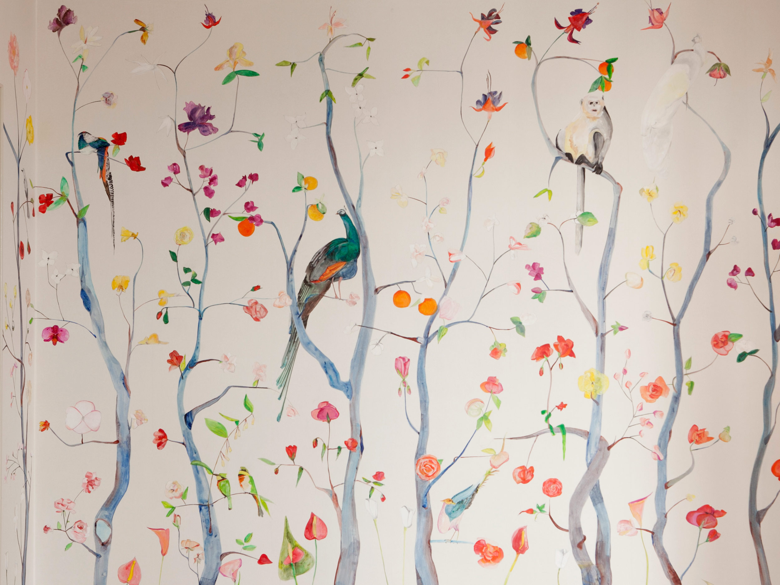 chinoiserie wallpaper with birds 2500x1875