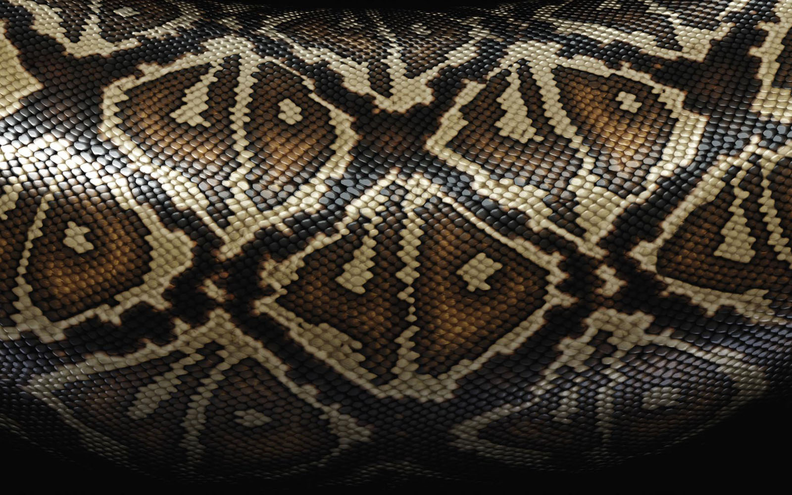 Wallpaper Snake Skin
