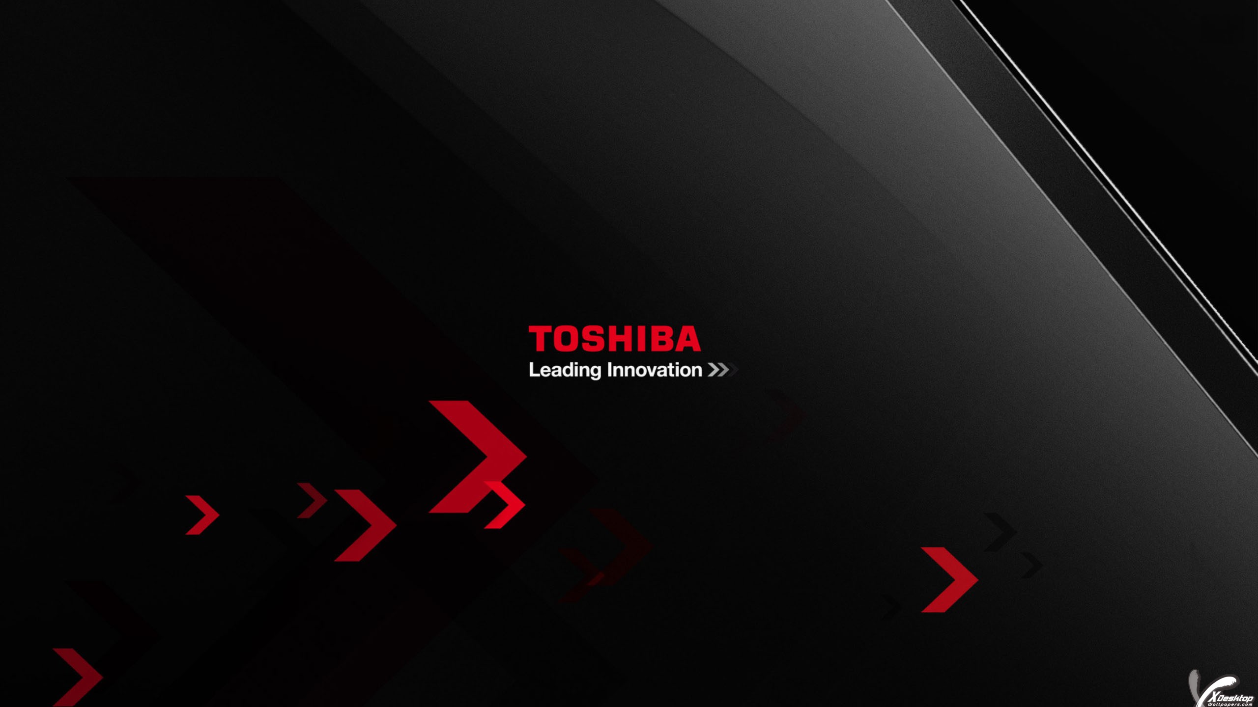 Logo On Black Backgroung Of Toshiba Leading Innovation Wallpaper 2560x1440