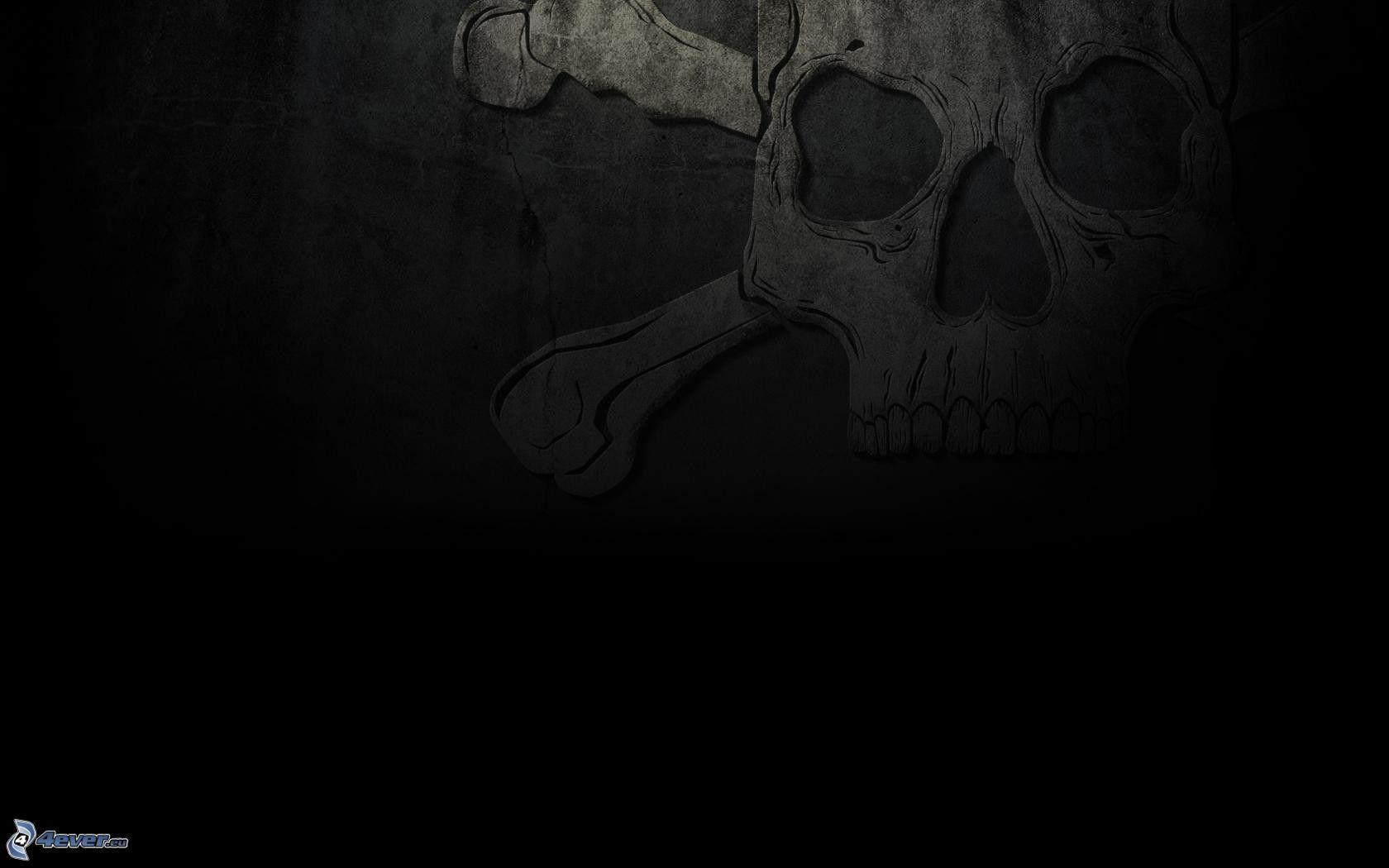 Skull Black Background