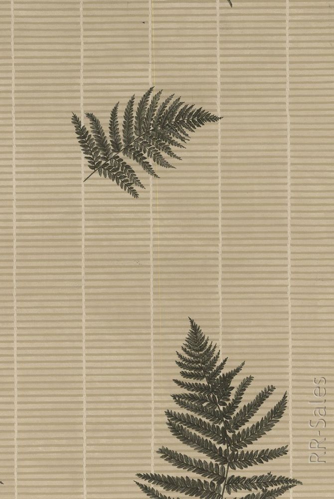 Tropical Bamboo Shutters Thick Grasscloth Woven Weave Wood Wallpaper