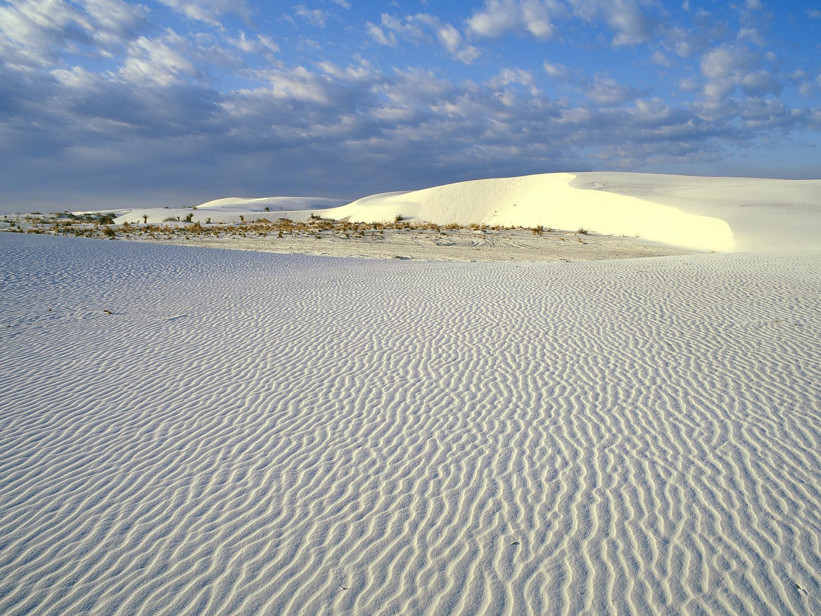 Landscapes Gypsum Sand Dunes White Sands National Monument New Mexico
