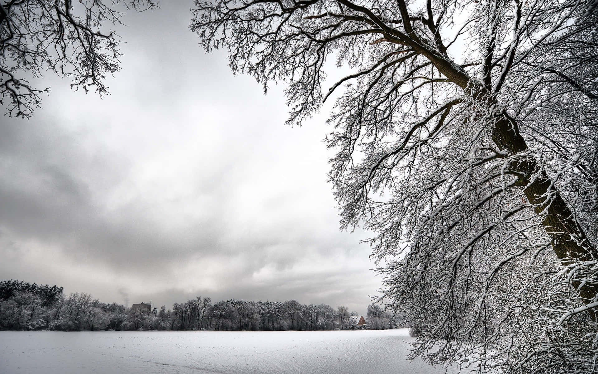 Enjoy A Tranquil Winter Landscape With This Scenery Wallpaper