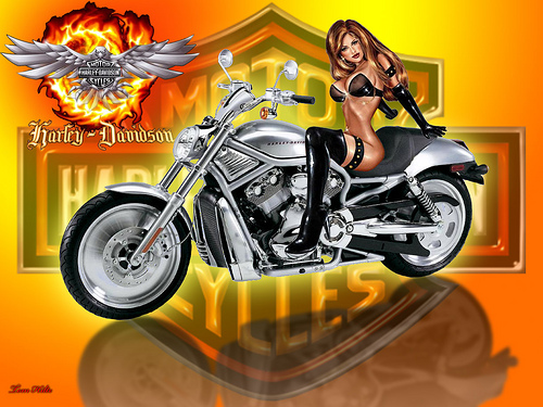 Harley Davidson V Rod Wallpaper Photo Sharing