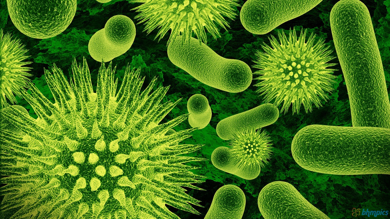 Germs Clip Art On Clipart Library