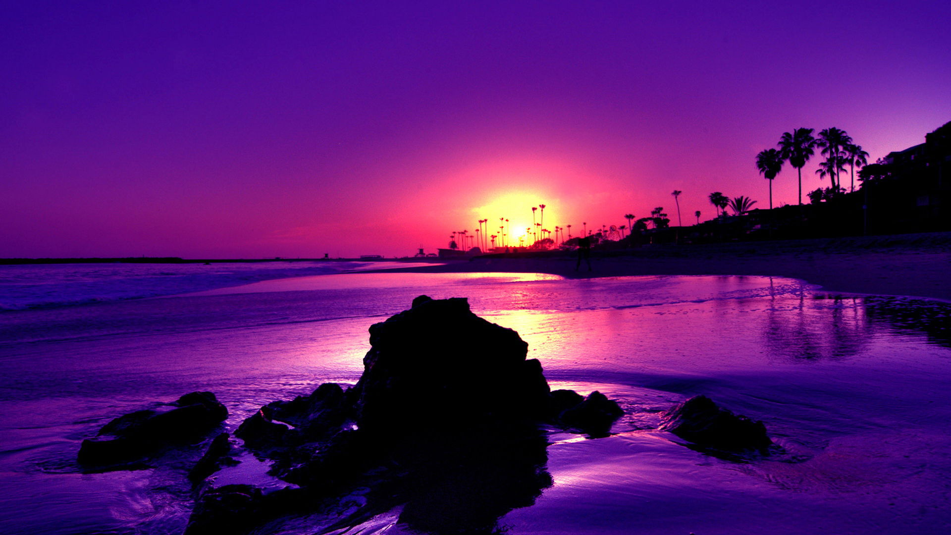 A breathtaking purple sunset over a tranquil beach, with palm trees silhouetted against the vibrant sky