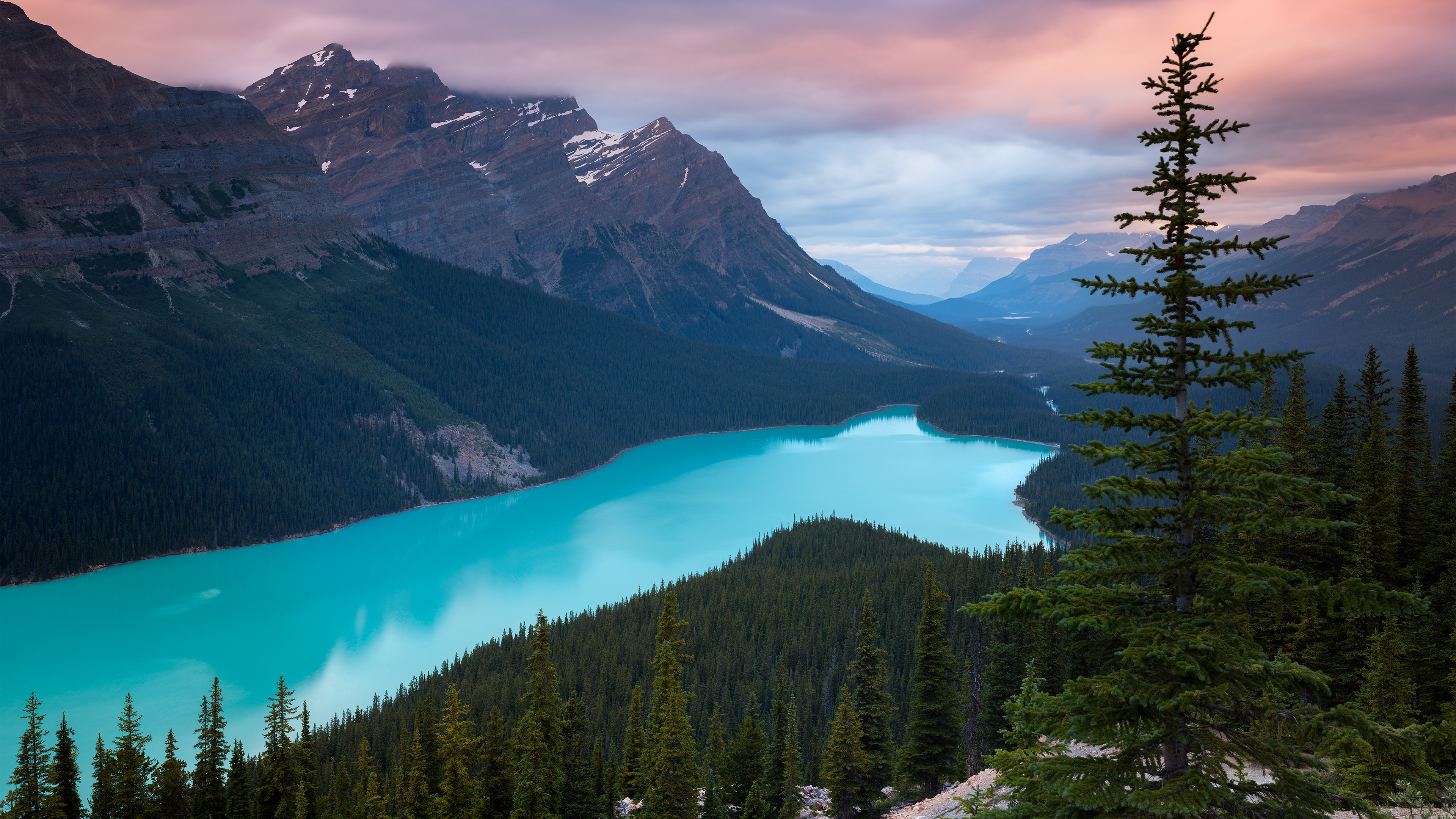 Peyto Lake Canada Mountains 4k HD Wallpaper Image