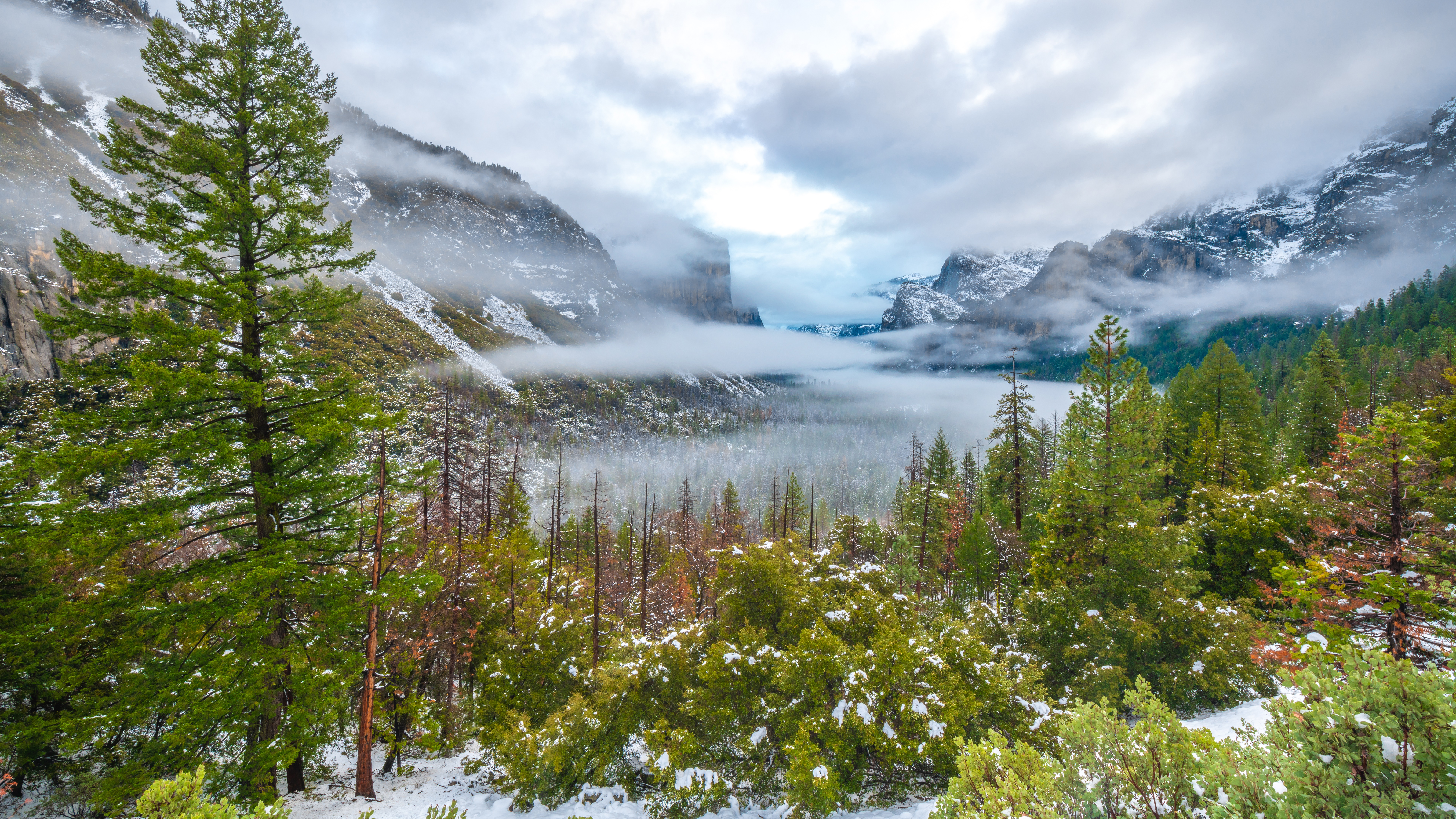 Spring In Yosemite National Park 8k Ultra HD Wallpaper