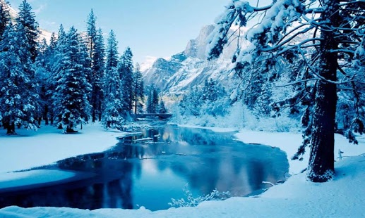 Beautiful Winter Live Wallpaper With Cool And