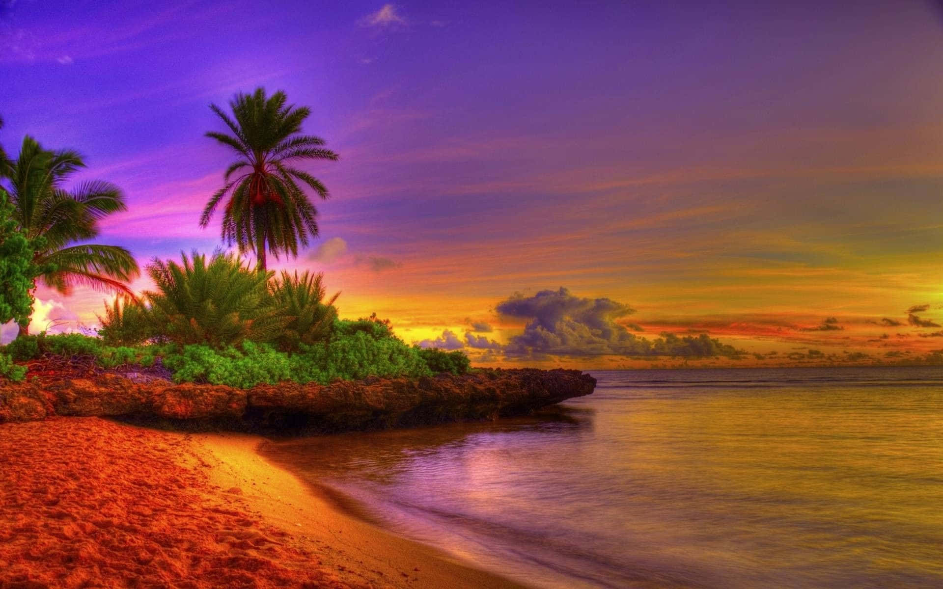 A Colorful Sunset On Beach With Palm Trees Wallpaper