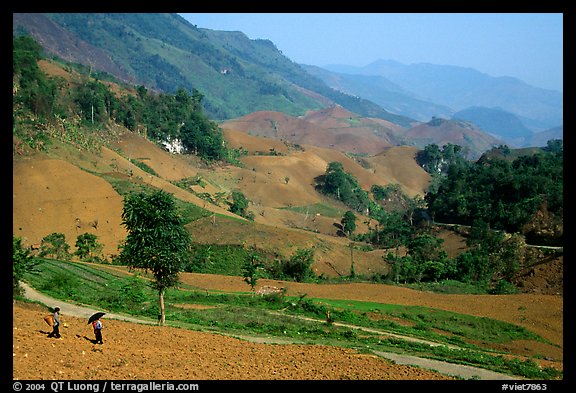 Field Between Tuan Giao And Lai Chau Northwest Vietnam Color