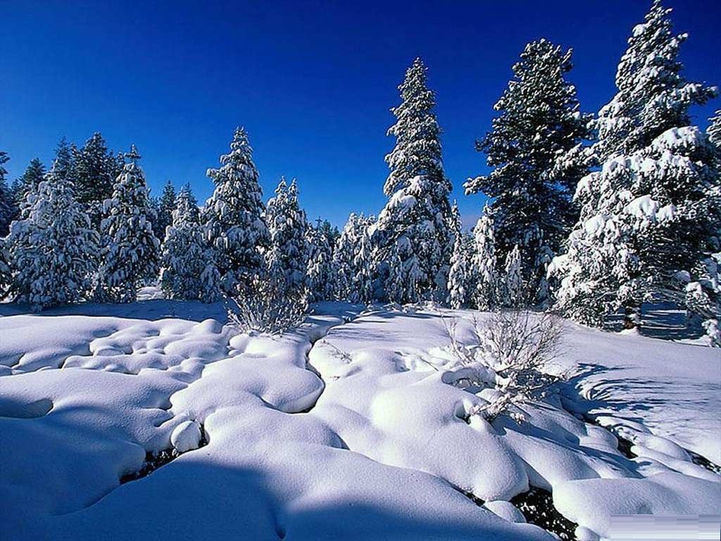 Winter Backgrounds Free Desktop Hd Wallpapers Pictures to
